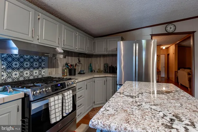 a kitchen with stainless steel appliances granite countertop a stove a sink dishwasher and a refrigerator