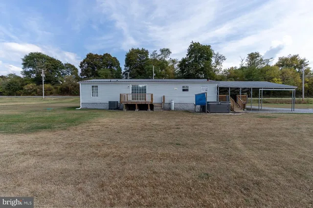 a view of a house with a yard and a large tree