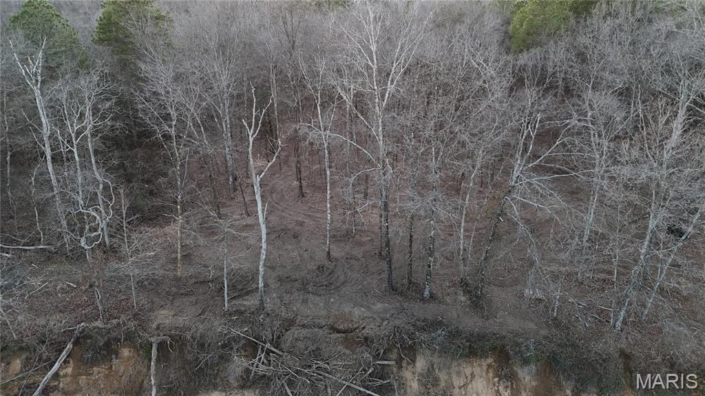 0 River Mill Spring Mill Spring, MO 63952 - Photo 5 of 9