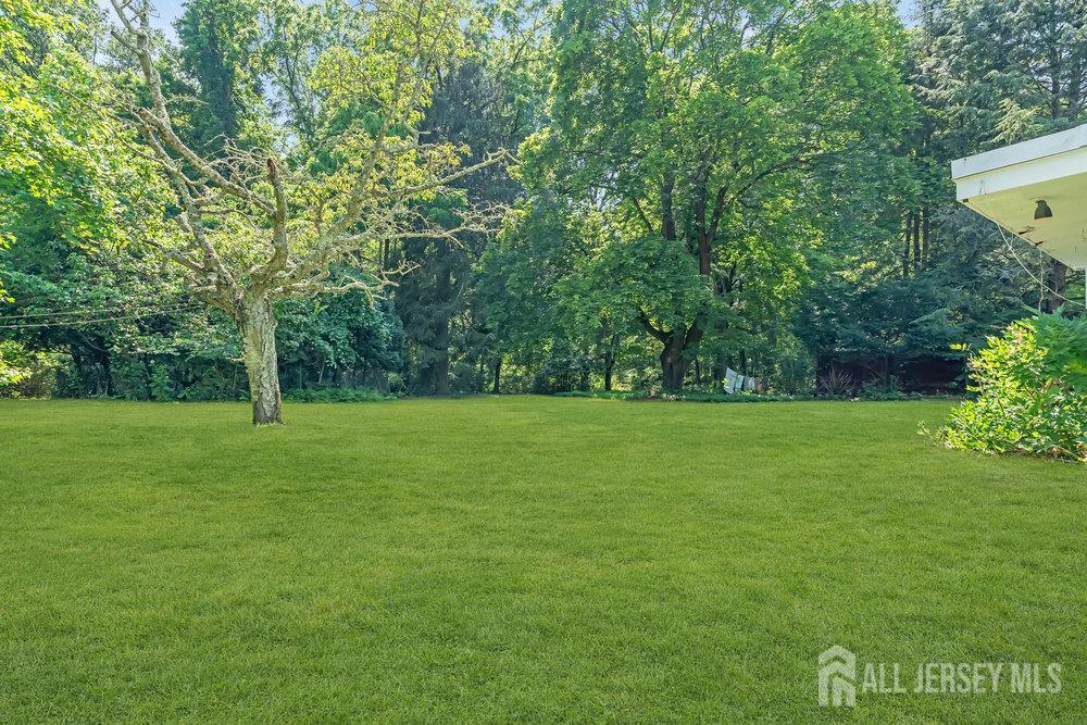 21 Homestead Lane Roosevelt, NJ 08555 - Photo 19 of 24 a view of a field with a trees