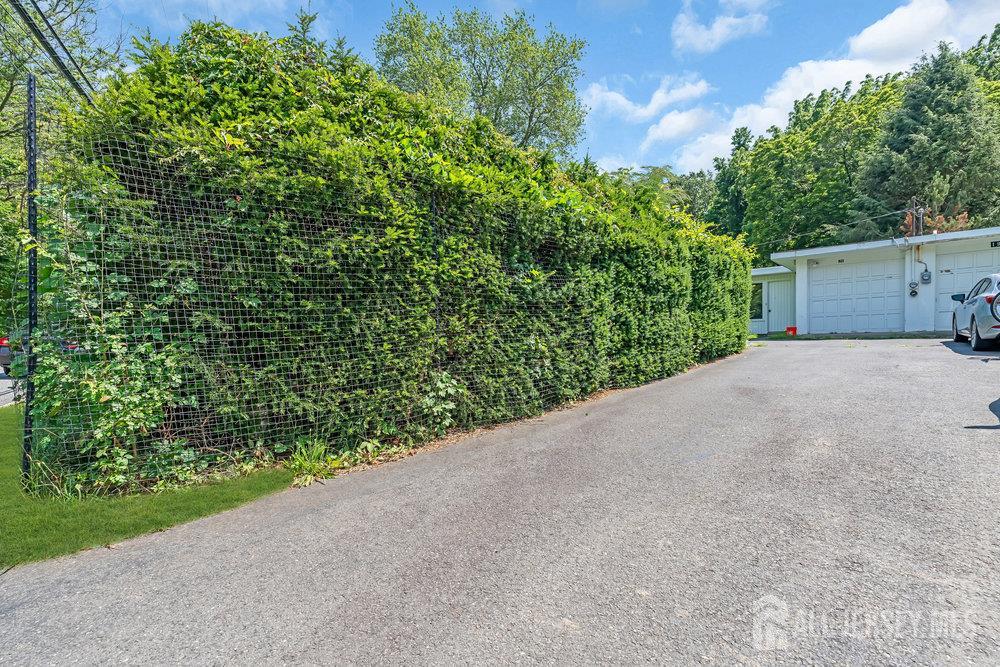 21 Homestead Lane Roosevelt, NJ 08555 - Photo 5 of 24 a view of a plants and trees in the background