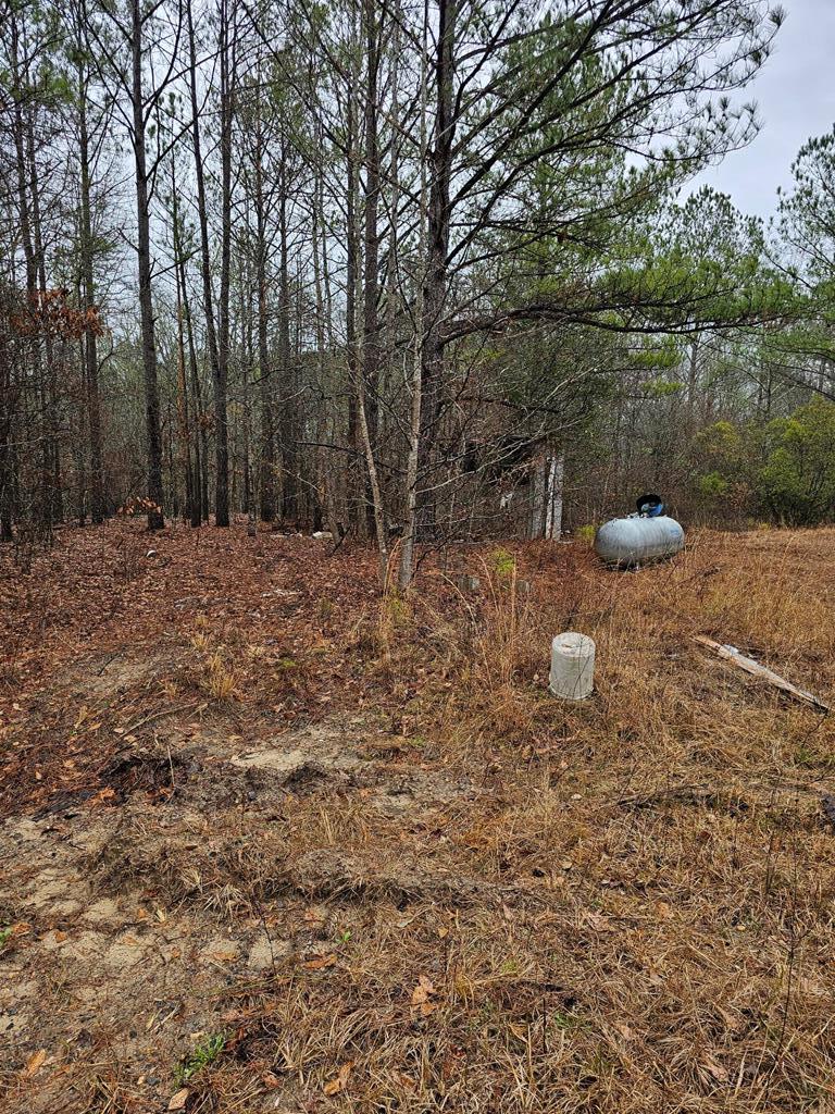 1611 Neal Road Junction City, GA 31812 - Photo 8 of 29 Gallery Image 8