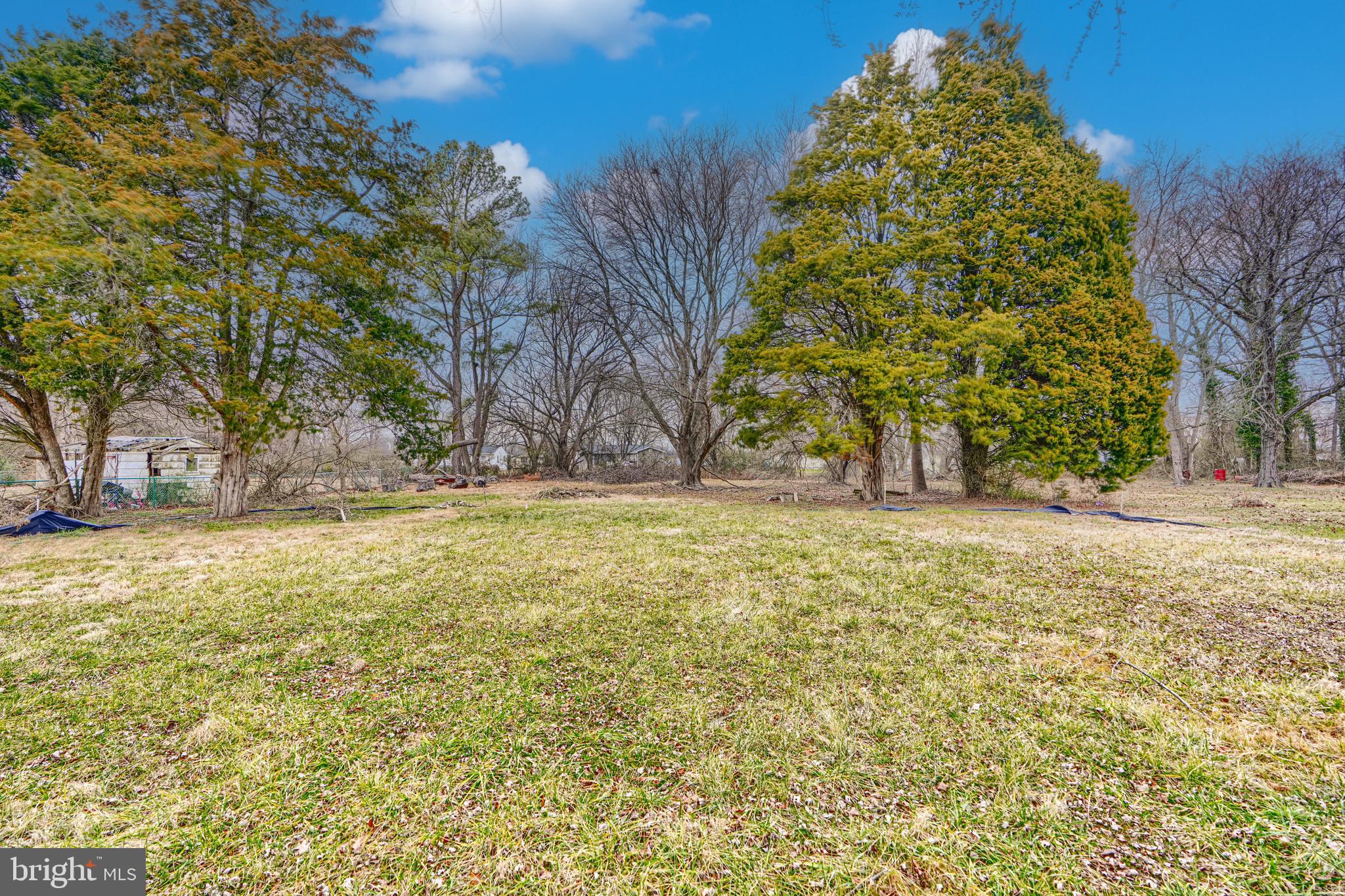 137 Rustic Acres Lane Queenstown, MD 21658 - Photo 3 of 10 a view of outdoor space with garden and trees