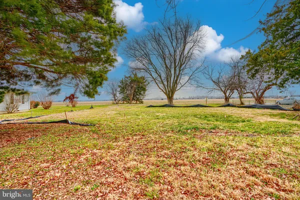a view of a yard with an trees