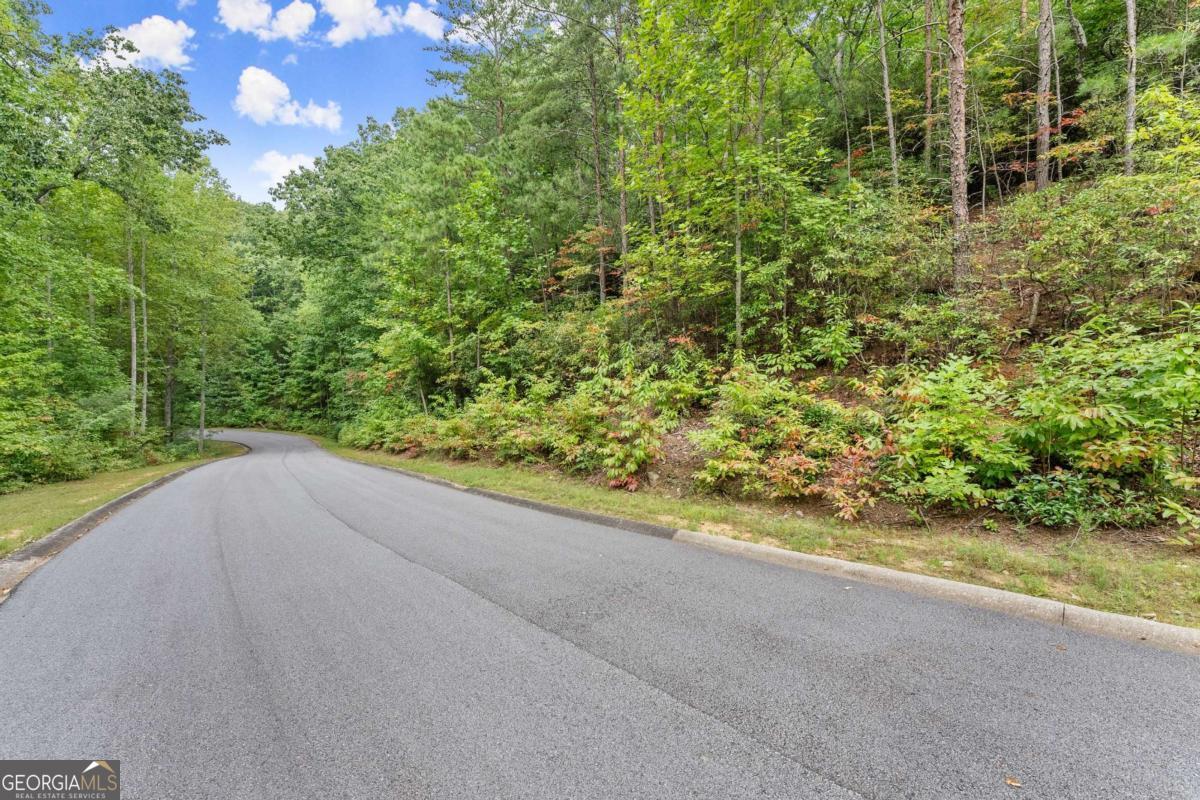 0 Yates Circle, Unit 358 Clarkesville, GA 30523 - Photo 1 of 13