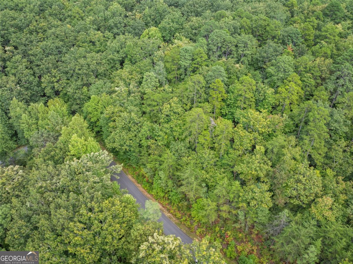 0 Yates Circle, Unit 358 Clarkesville, GA 30523 - Photo 11 of 13