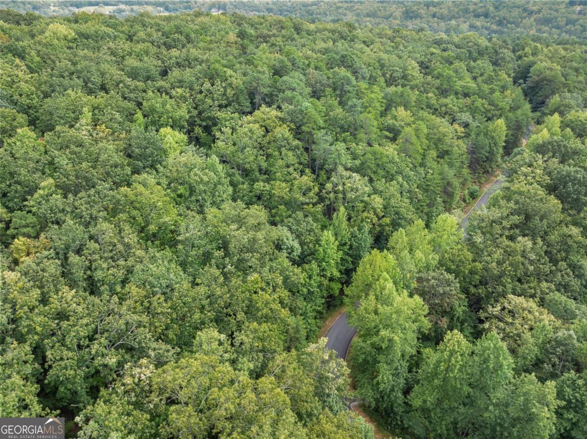 0 Yates Circle, Unit 358 Clarkesville, GA 30523 - Photo 12 of 13