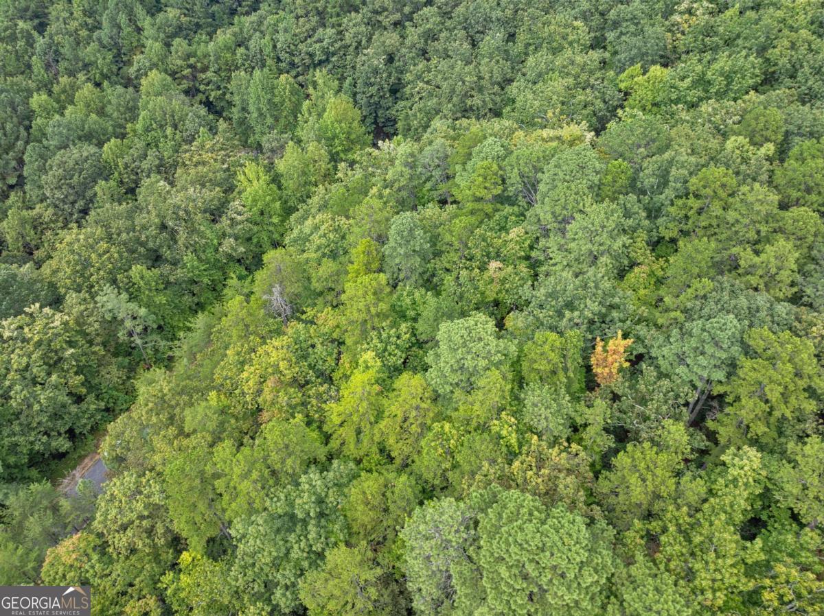 0 Yates Circle, Unit 358 Clarkesville, GA 30523 - Photo 13 of 13