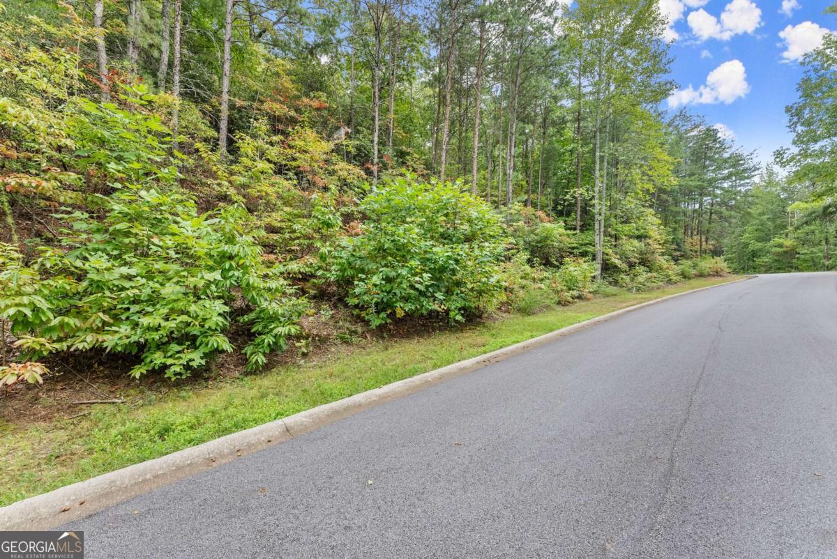 0 Yates Circle, Unit 358 Clarkesville, GA 30523 - Photo 2 of 13