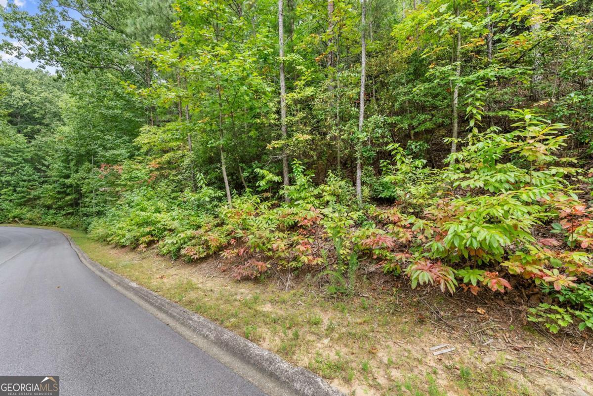 0 Yates Circle, Unit 358 Clarkesville, GA 30523 - Photo 3 of 13