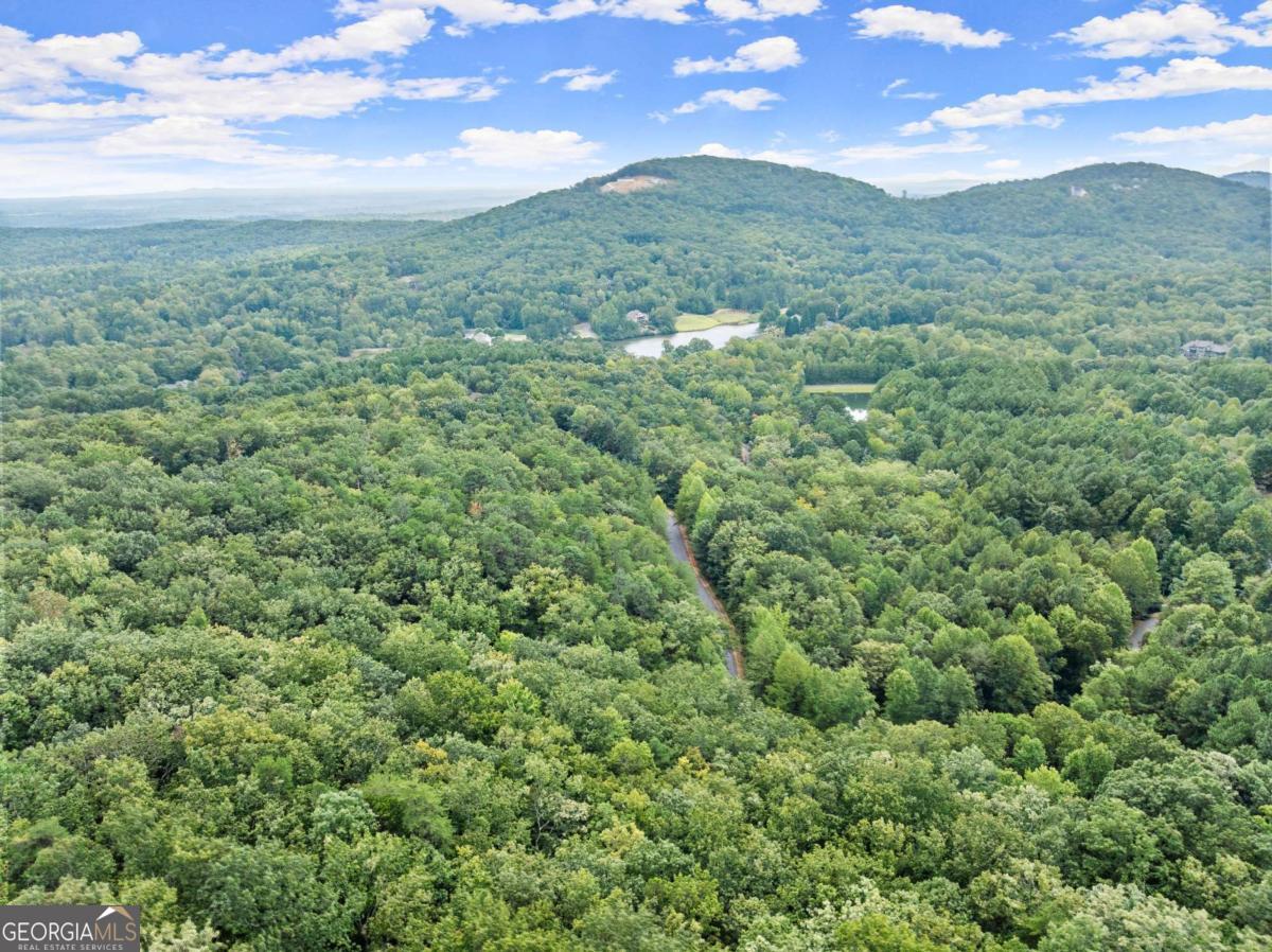 0 Yates Circle, Unit 358 Clarkesville, GA 30523 - Photo 7 of 13