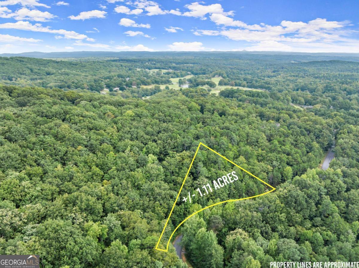 0 Yates Circle, Unit 358 Clarkesville, GA 30523 - Photo 8 of 13