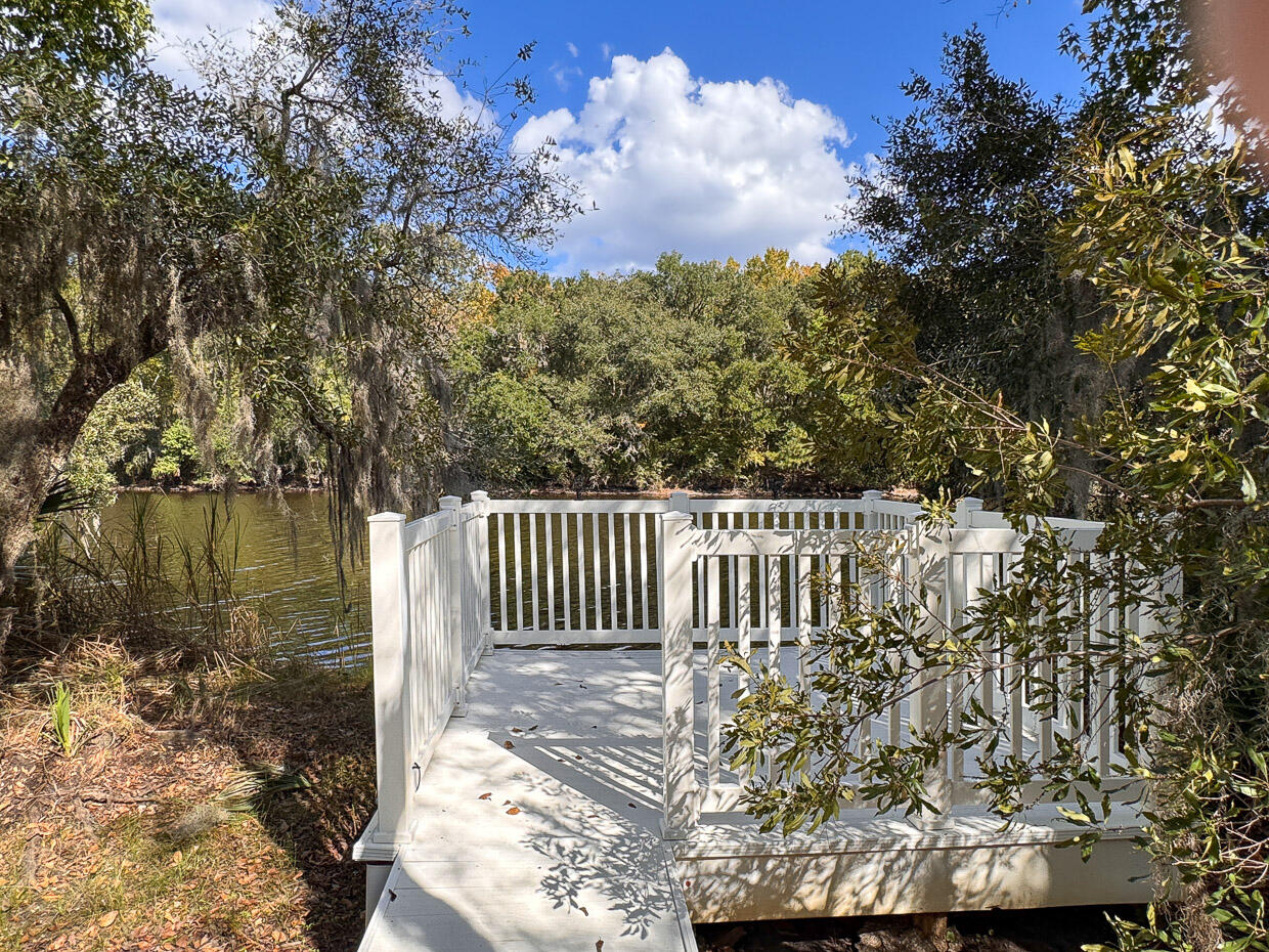 2225 Mariners Ferry Charleston, SC 29414 - Photo 41 of 50 Billinger-33