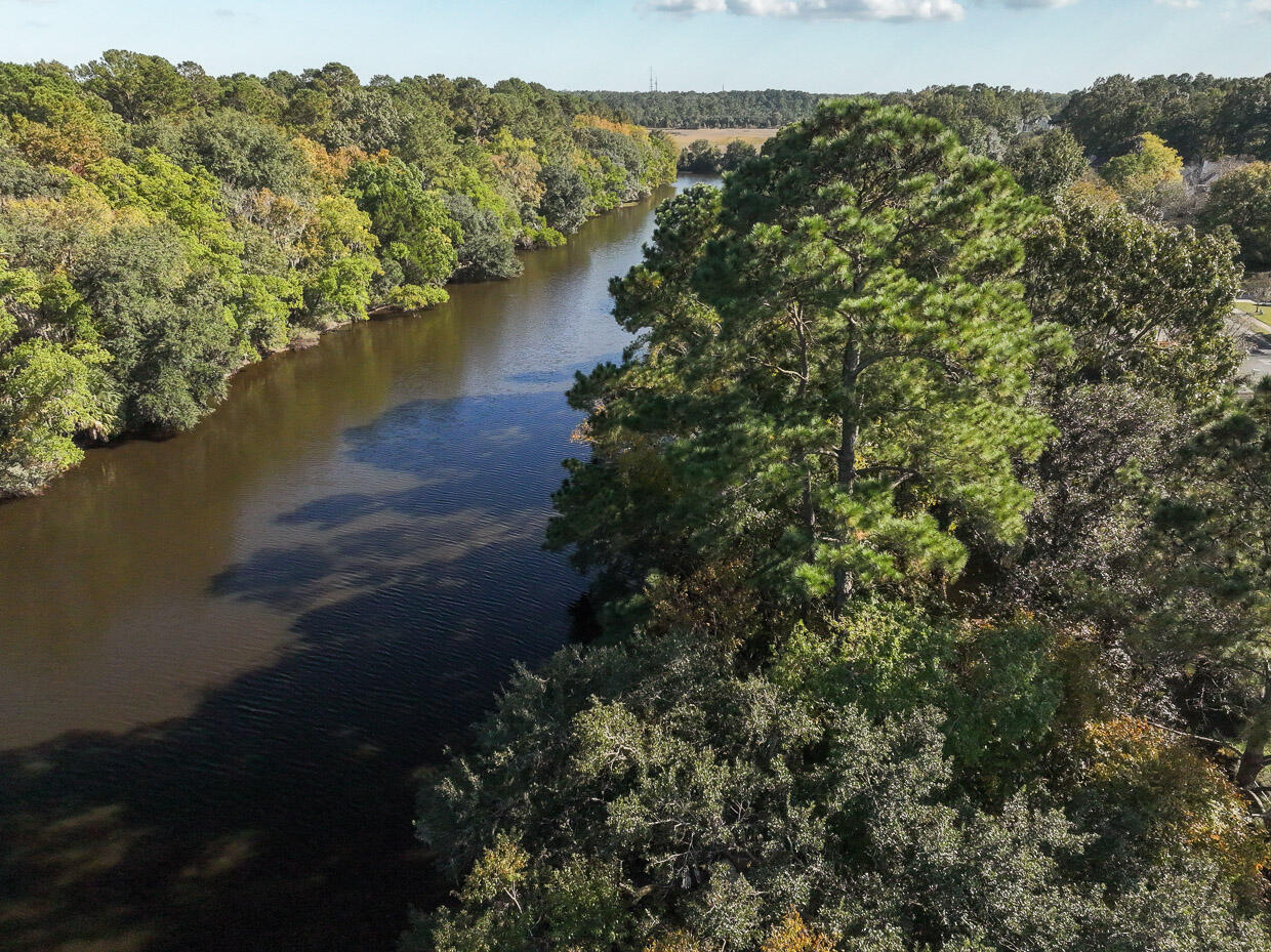 2225 Mariners Ferry Charleston, SC 29414 - Photo 5 of 50 4-Billinger-48