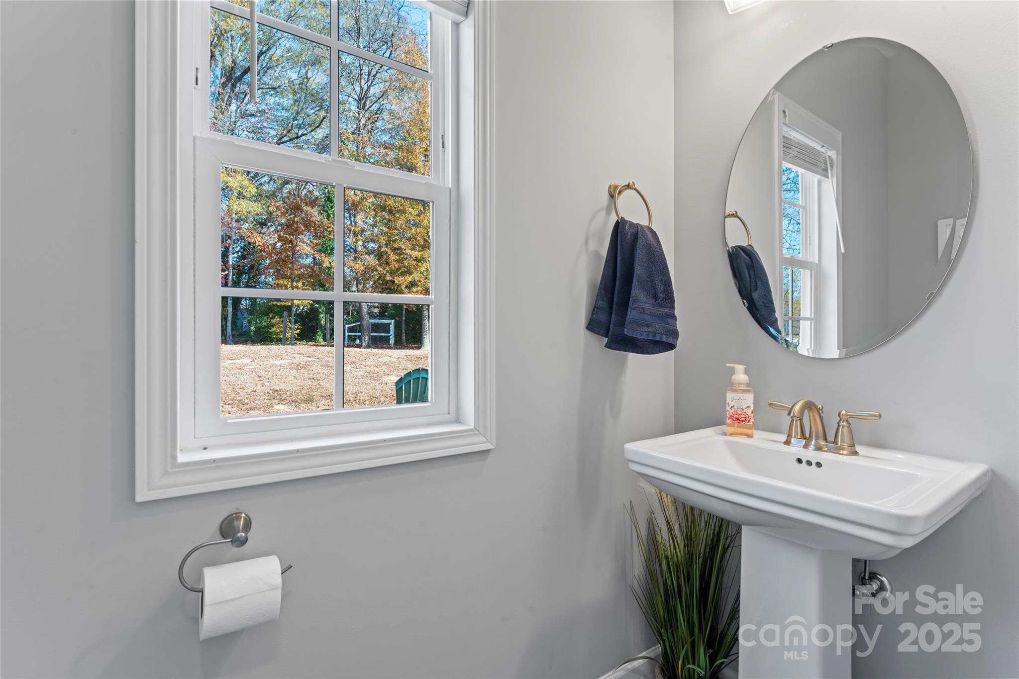 3839 Robinson Circle Gastonia, NC 28056 - Photo 20 of 46 a bathroom with a sink and a mirror