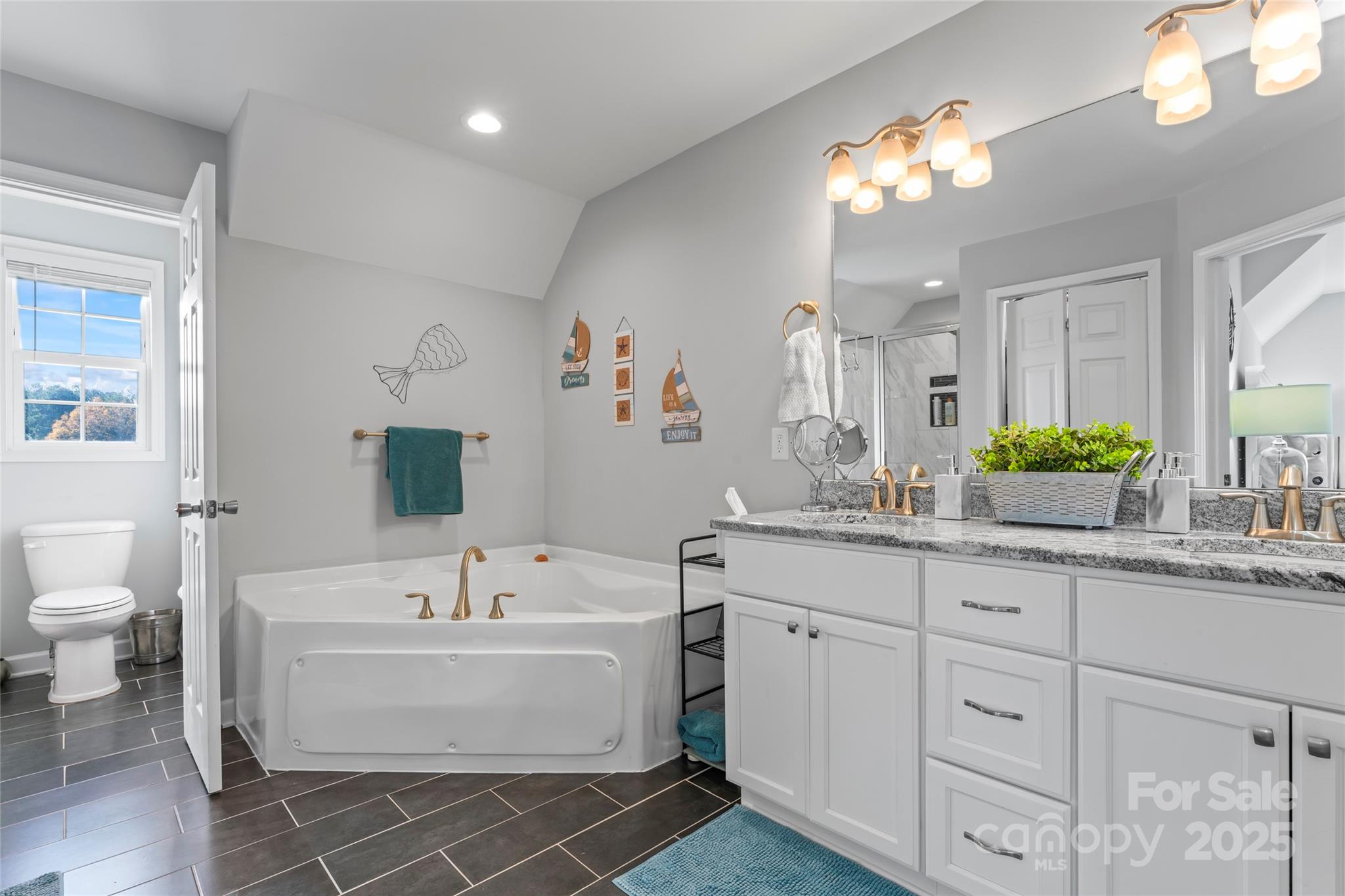3839 Robinson Circle Gastonia, NC 28056 - Photo 25 of 46 a bathroom with a sink a toilet and a mirror