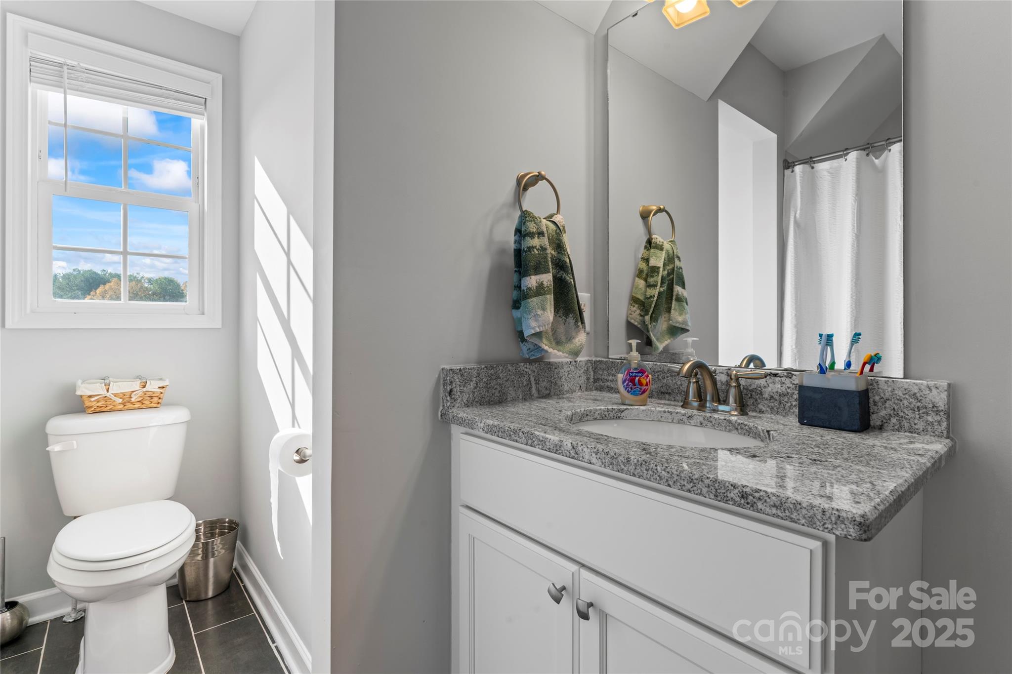 3839 Robinson Circle Gastonia, NC 28056 - Photo 33 of 46 a bathroom with a granite countertop sink toilet and mirror