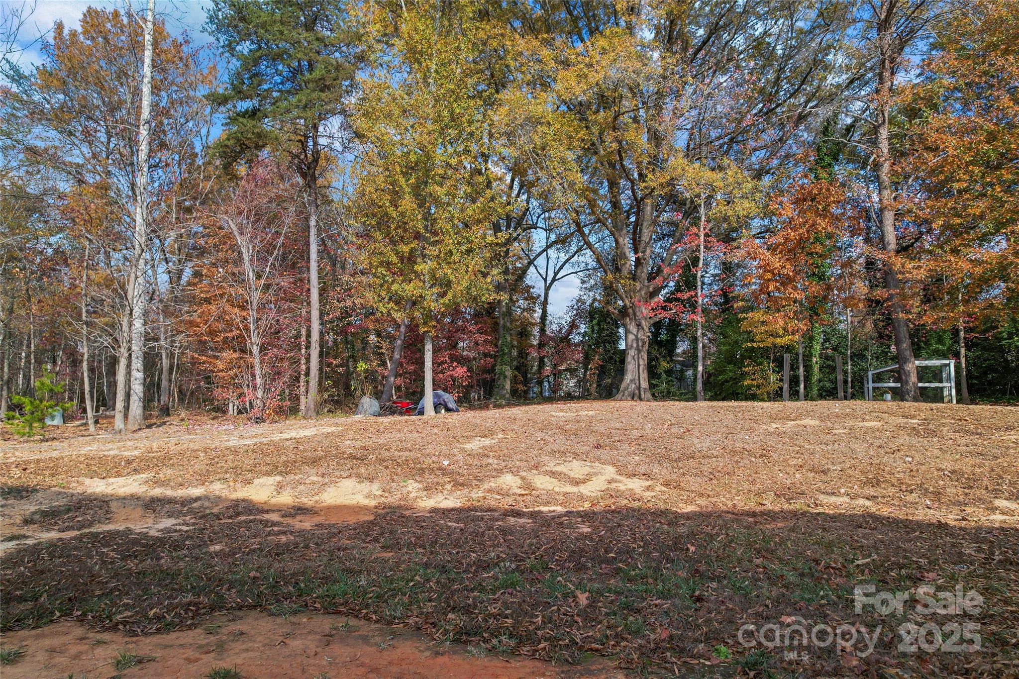 3839 Robinson Circle Gastonia, NC 28056 - Photo 38 of 46 a view of open space with trees