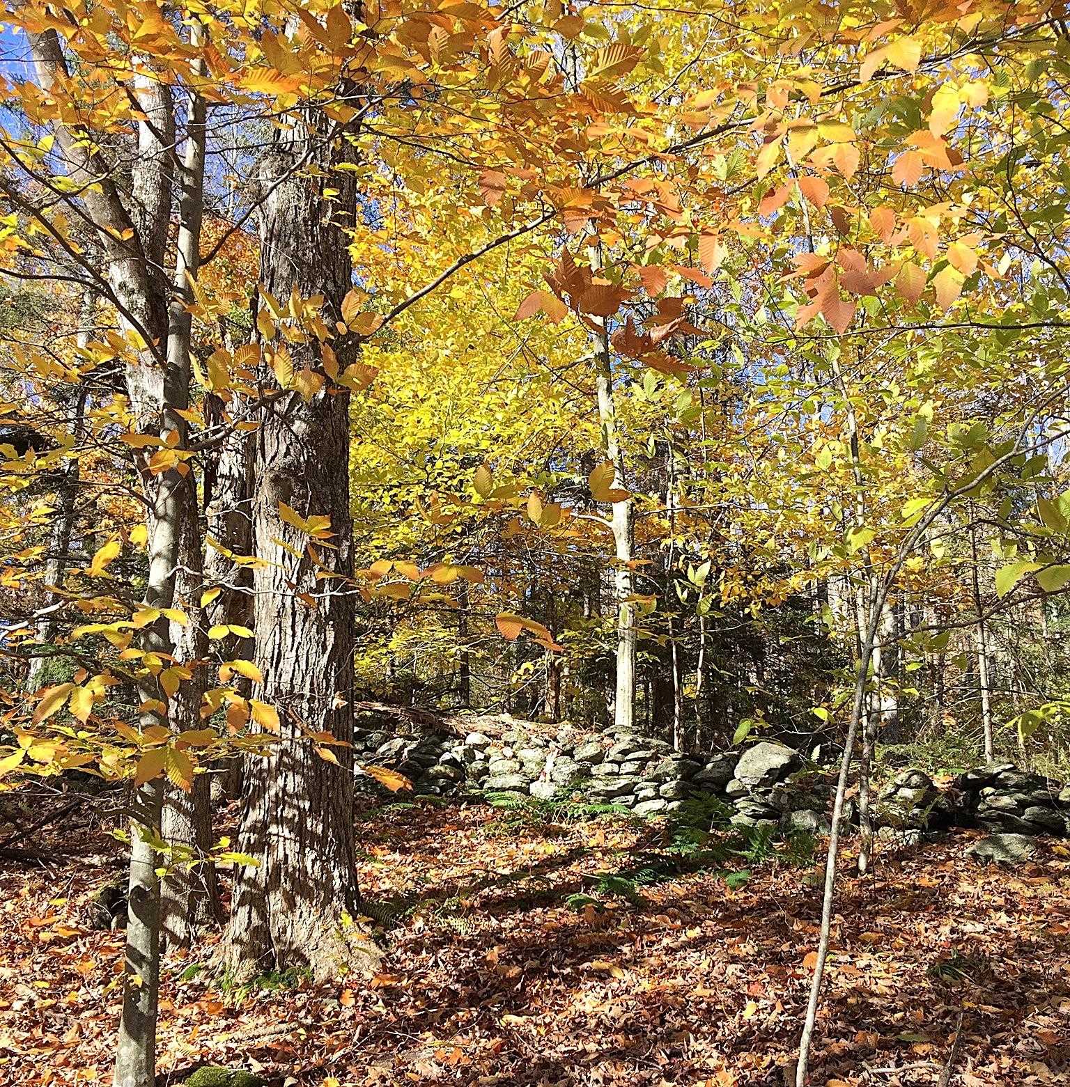 540 Shampeny Hill Road Hancock, VT 05748 - Photo 9 of 23