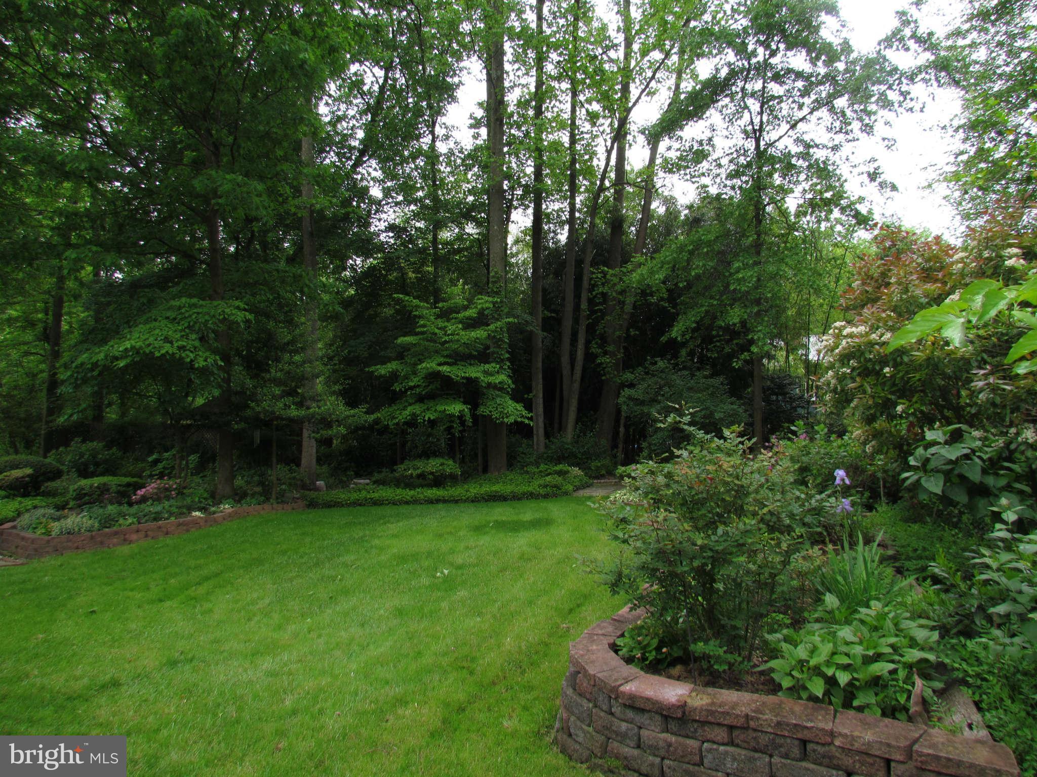 8531 Aponi Road Vienna, VA 22180 - Photo 4 of 4 Exterior Rear