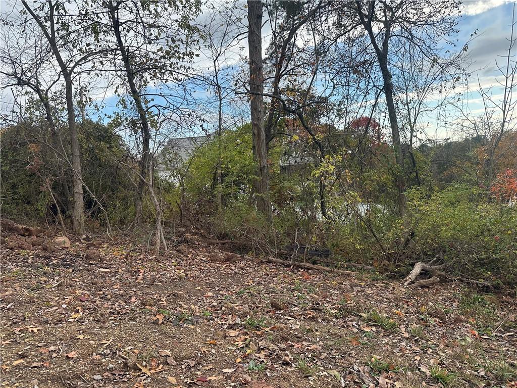 0 Hazelcroft Avenue Aliquippa, PA 15001 - Photo 1 of 1 a big yard with lots of green space