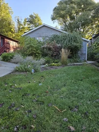 a view of a big yard with plants and large trees