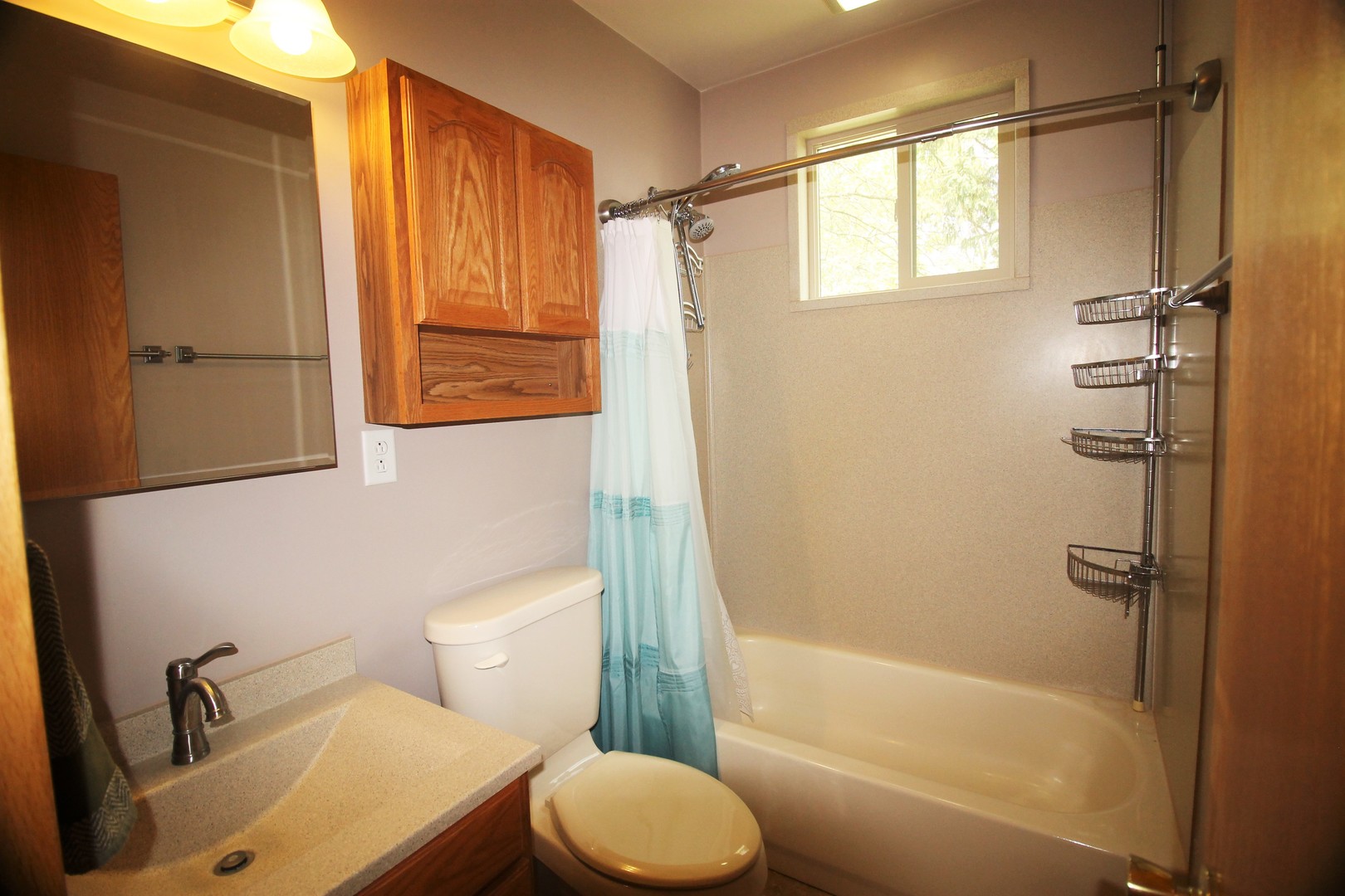 10093 Wolf Road Geneseo, IL 61254 - Photo 21 of 33