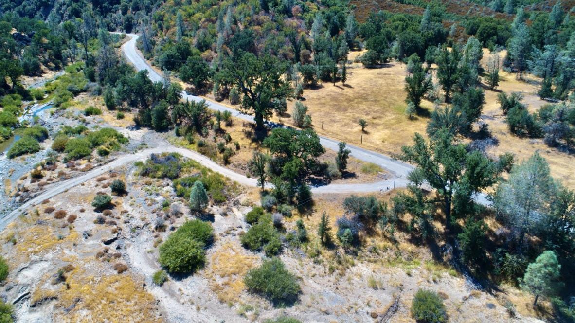 20505 Coalinga Road Paicines, CA 95043 - Photo 2 of 29 a view of a forest with a tree