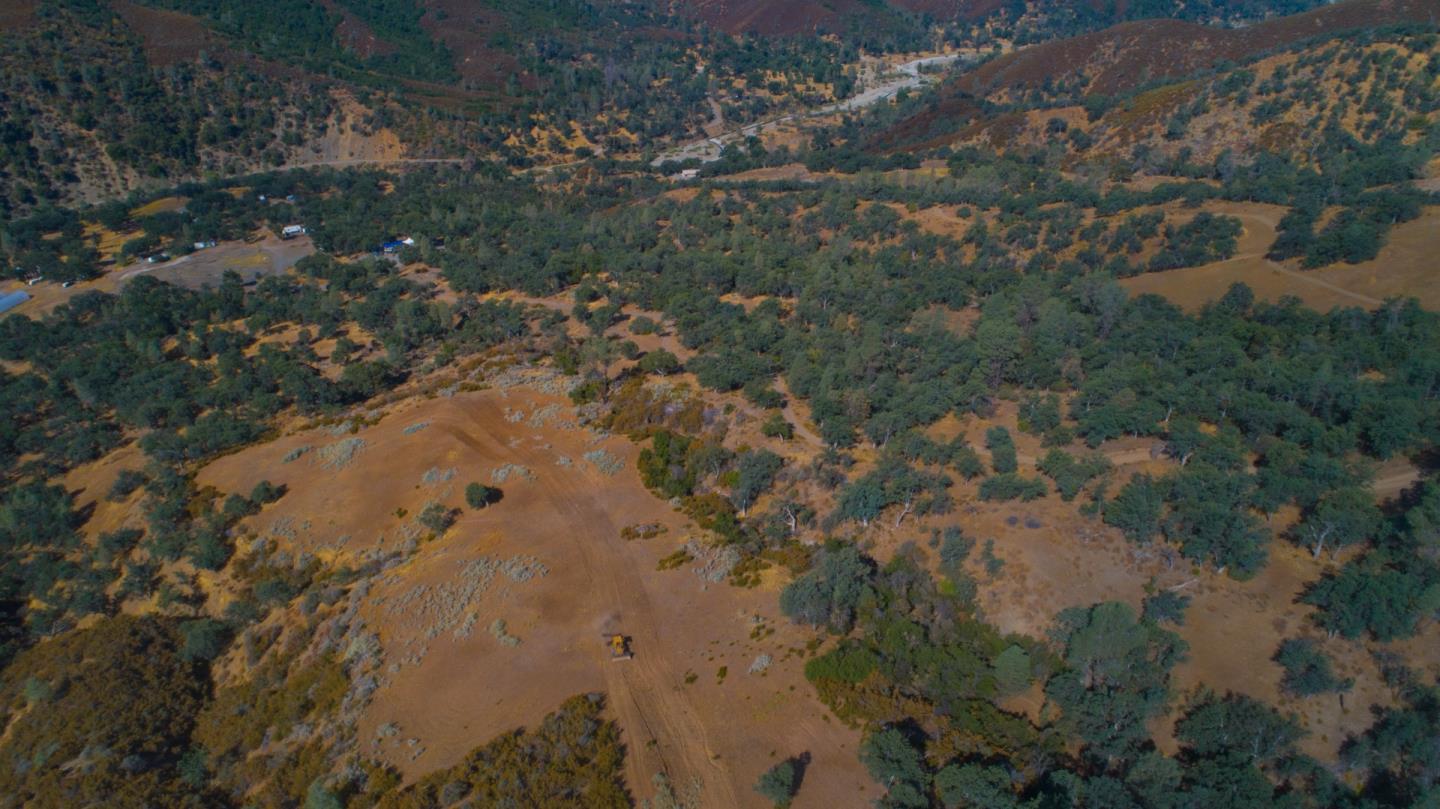 20505 Coalinga Road Paicines, CA 95043 - Photo 21 of 29 a view of a tree in a forest