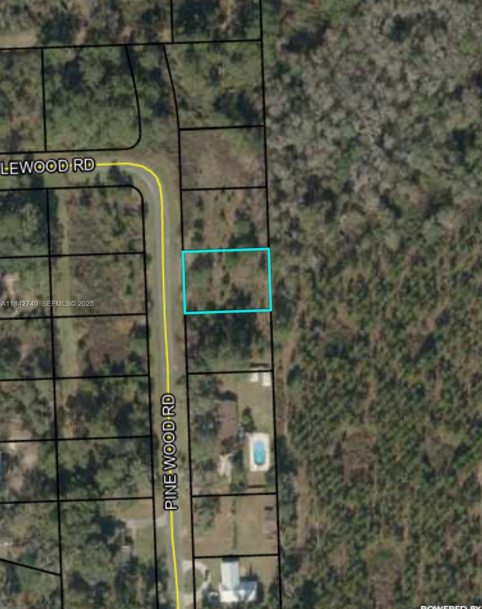 649 Pine Wood Road Jasper, FL 32052 - Photo 1 of 3 a bathroom with a shower