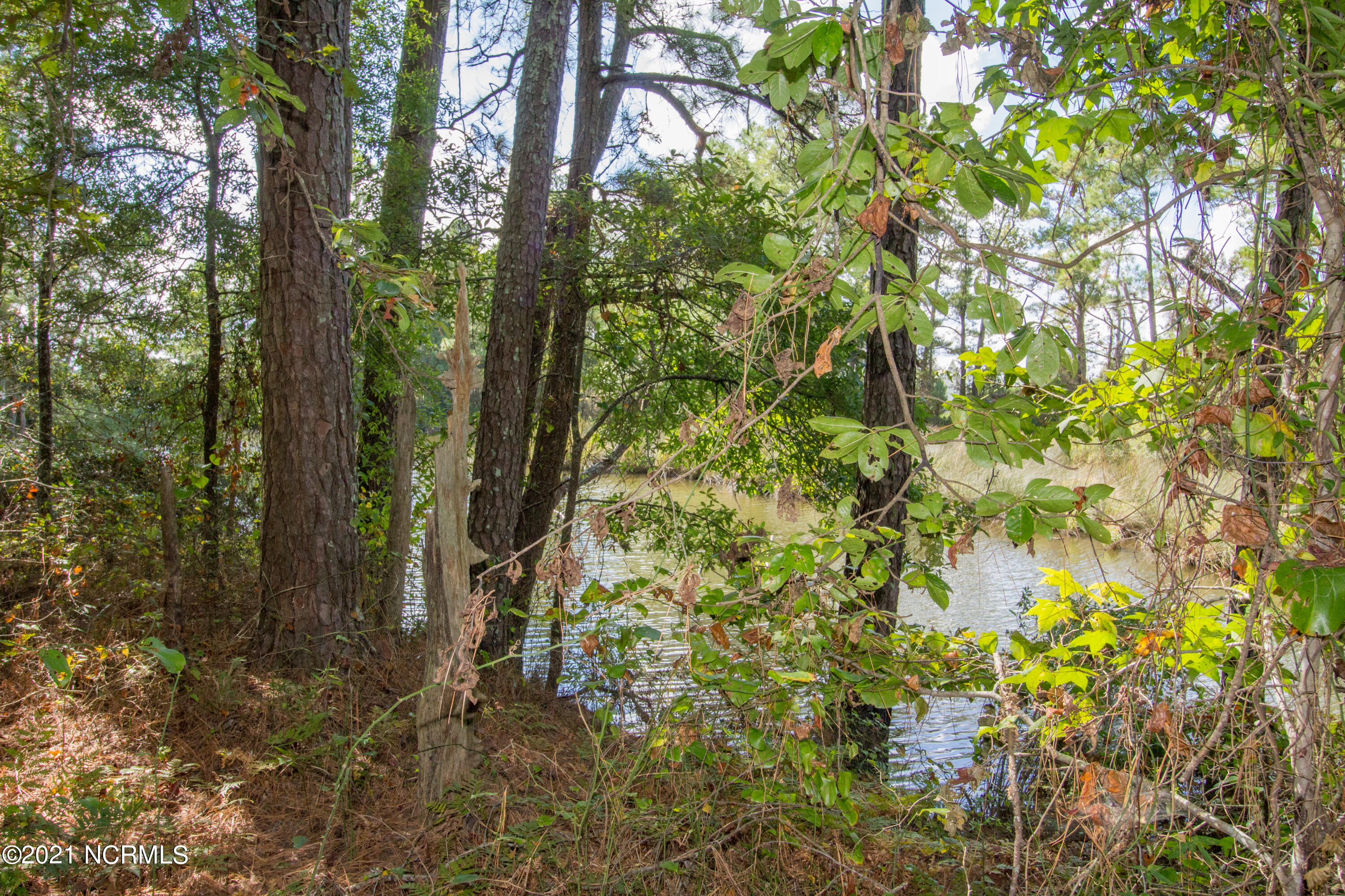 77 Wheat Patch Road Belhaven, NC 27810 - Photo 13 of 26 IMG_3540a