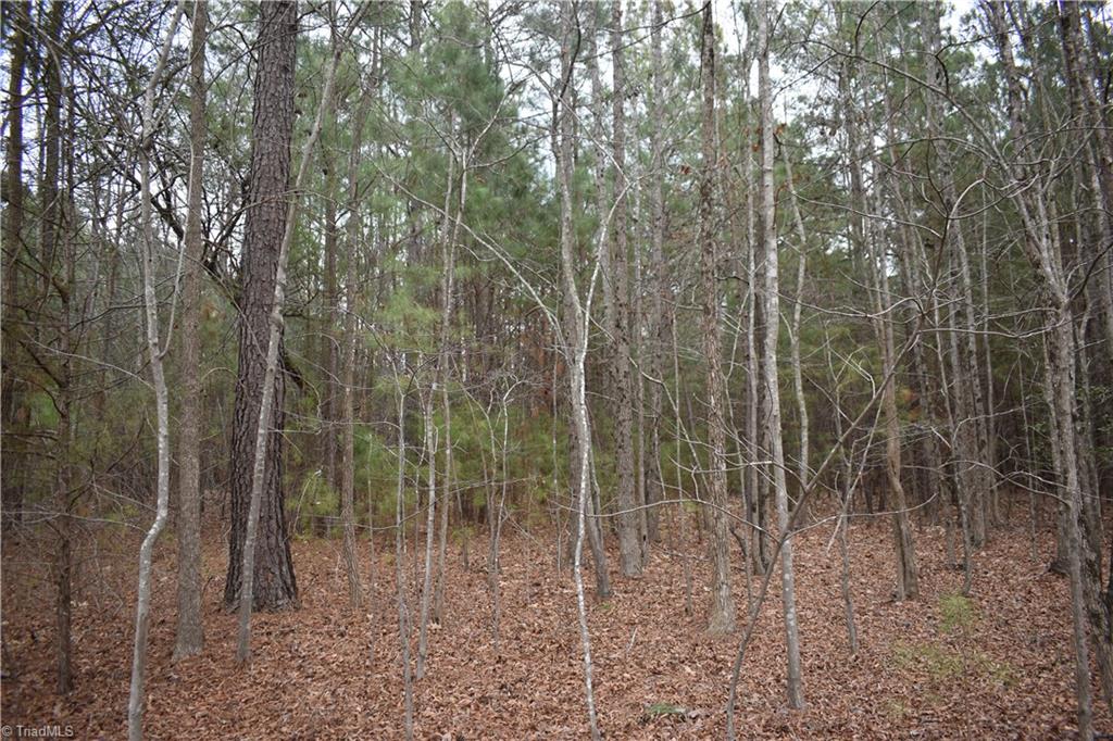 257 Piney Grove Church Road Siler City, NC 27344 - Photo 11 of 19