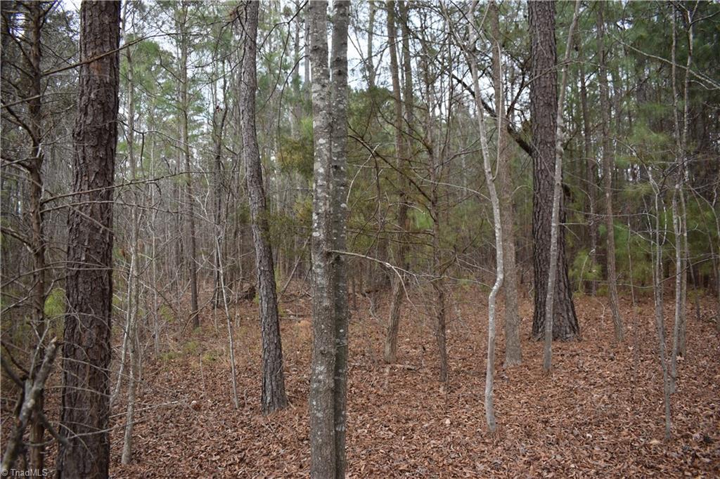 257 Piney Grove Church Road Siler City, NC 27344 - Photo 12 of 19