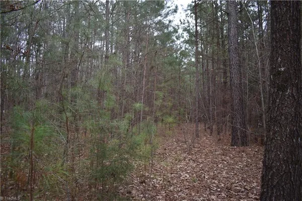 $95,000 | 257 Piney Grove Church Road, Siler City, NC 27344