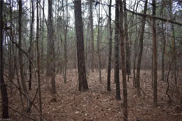 $95,000 | 257 Piney Grove Church Road, Siler City, NC 27344