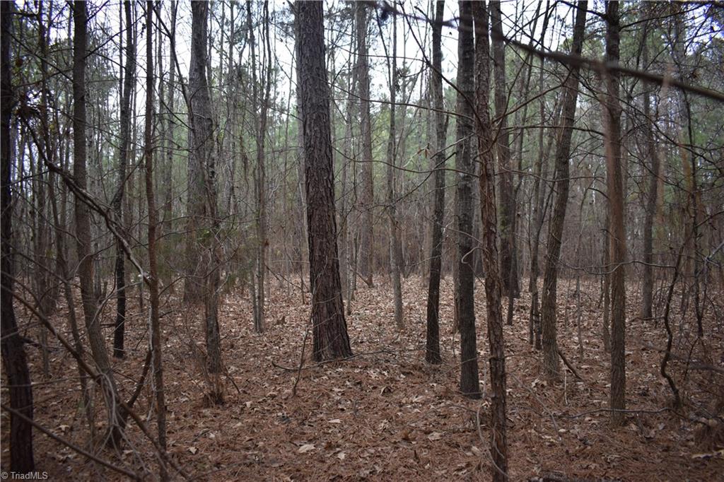 257 Piney Grove Church Road Siler City, NC 27344 - Photo 14 of 19