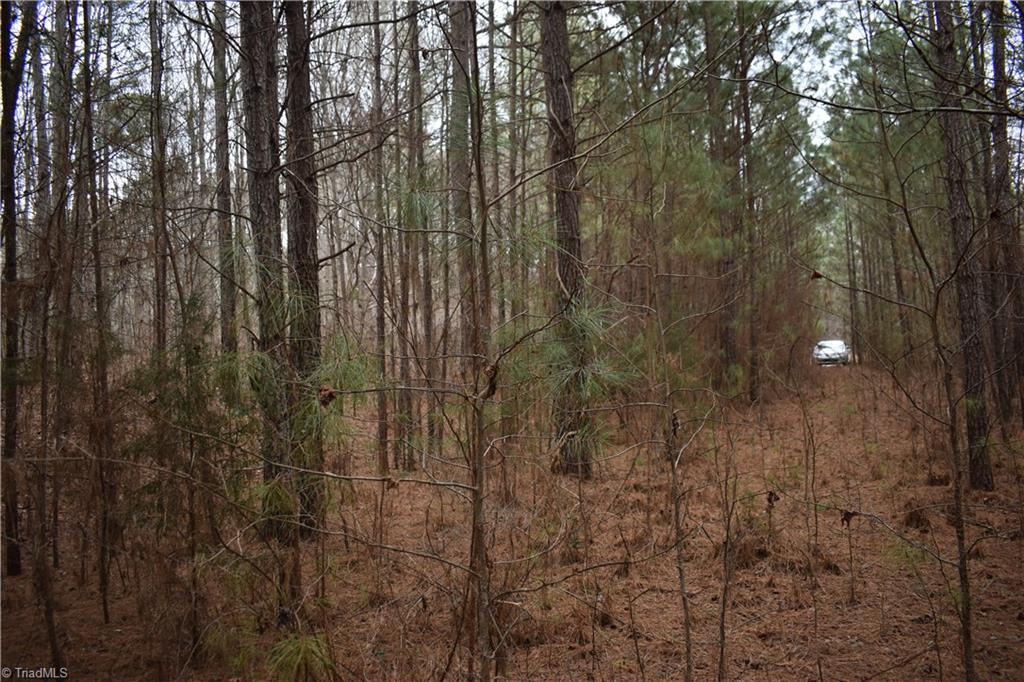 257 Piney Grove Church Road Siler City, NC 27344 - Photo 15 of 19