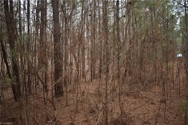 $95,000 | 257 Piney Grove Church Road, Siler City, NC 27344