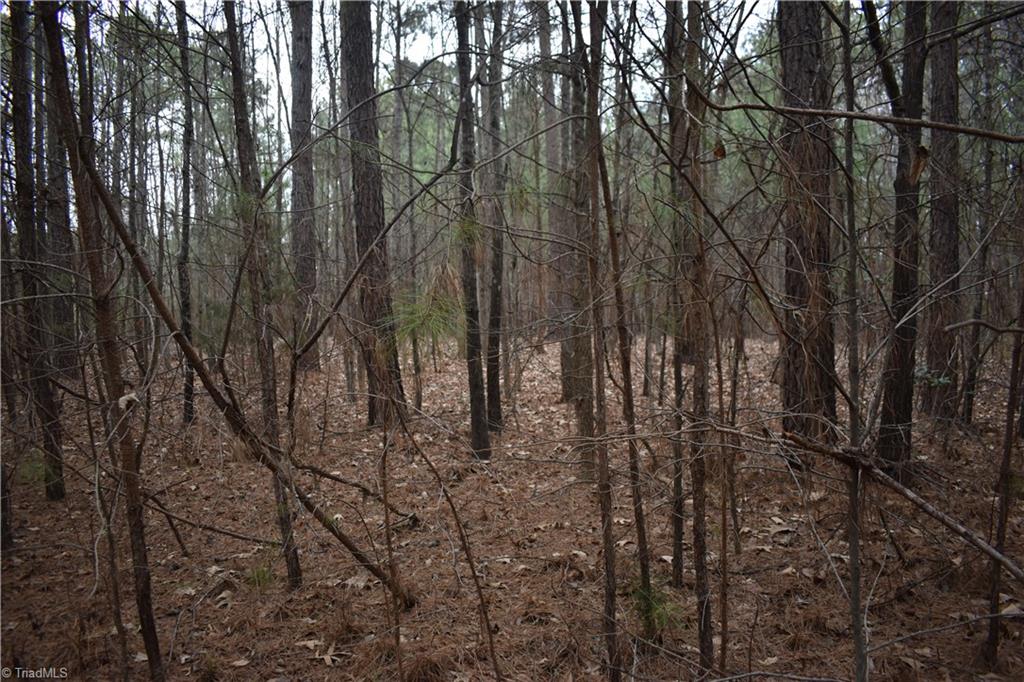 257 Piney Grove Church Road Siler City, NC 27344 - Photo 4 of 19