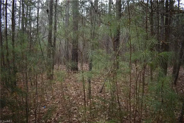 $95,000 | 257 Piney Grove Church Road, Siler City, NC 27344