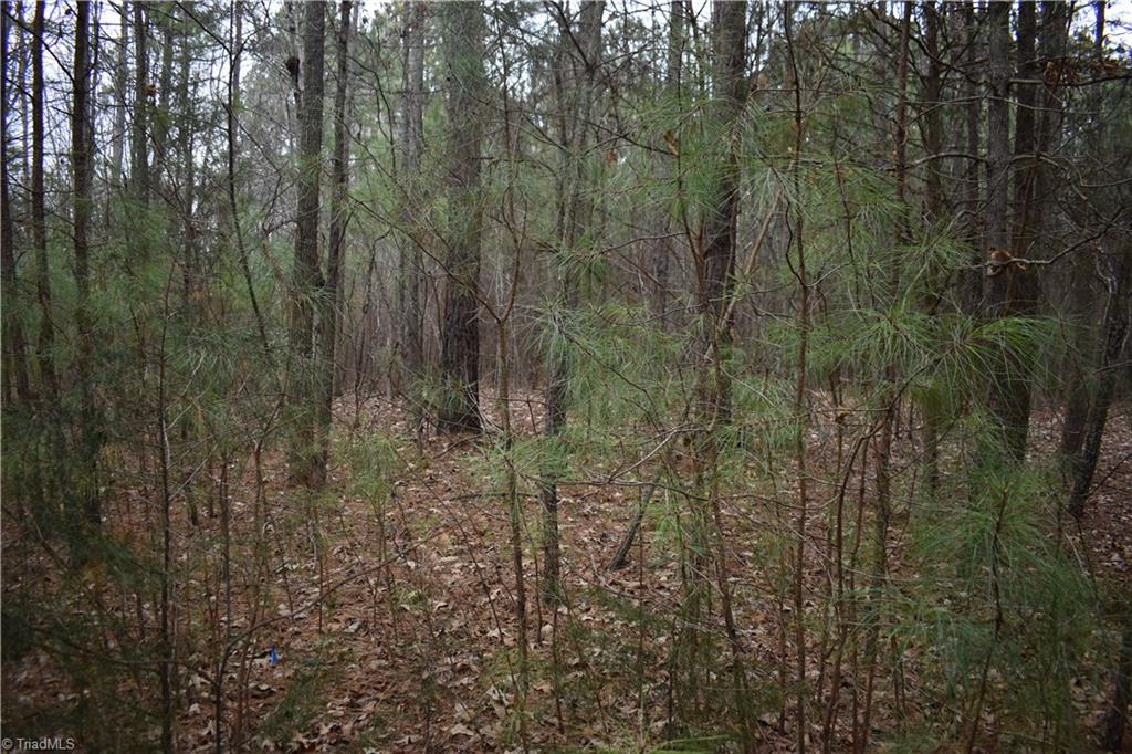 257 Piney Grove Church Road Siler City, NC 27344 - Photo 5 of 19