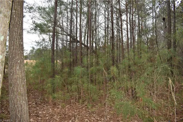 $95,000 | 257 Piney Grove Church Road, Siler City, NC 27344