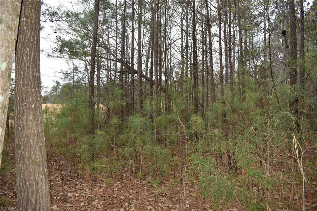 257 Piney Grove Church Road Siler City, NC 27344 - Photo 6 of 19