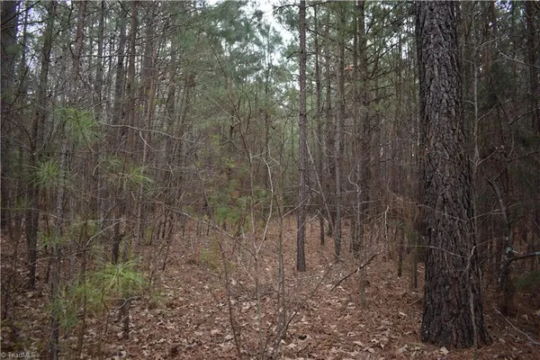 $95,000 | 257 Piney Grove Church Road, Siler City, NC 27344