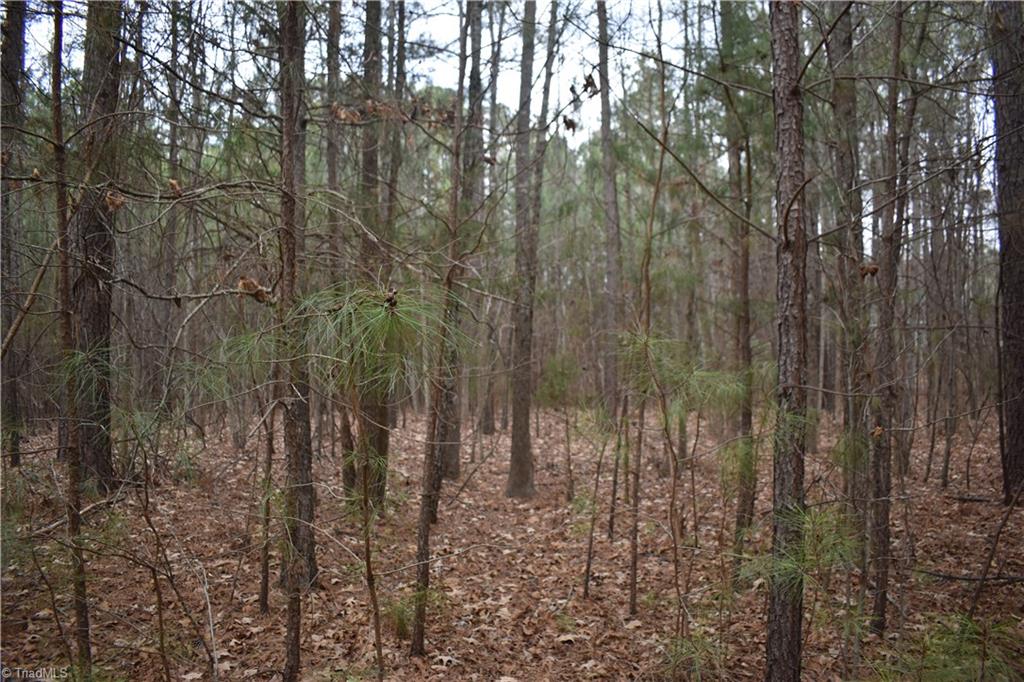 257 Piney Grove Church Road Siler City, NC 27344 - Photo 8 of 19