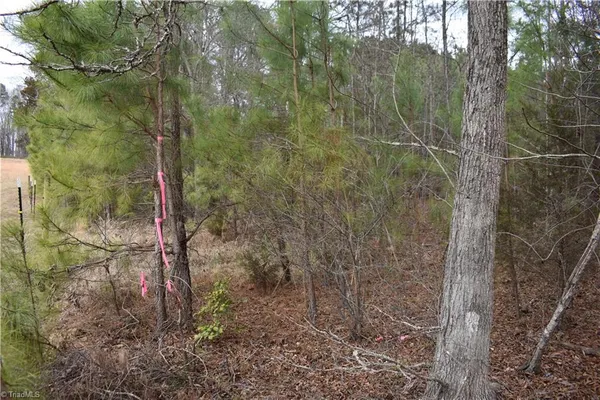 $95,000 | 257 Piney Grove Church Road, Siler City, NC 27344