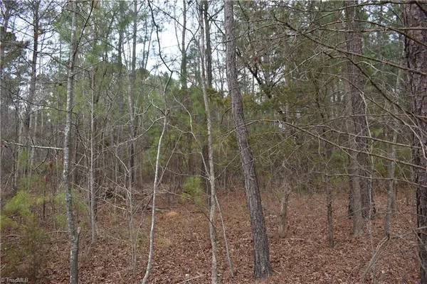 $95,000 | 257 Piney Grove Church Road, Siler City, NC 27344