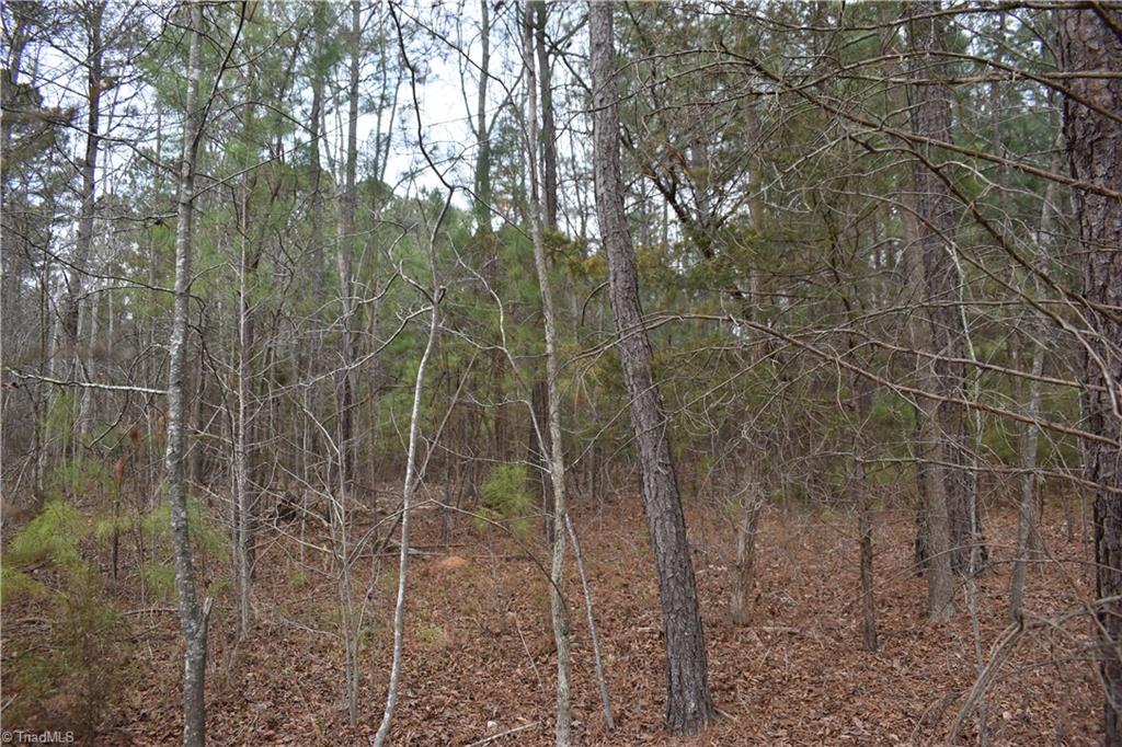 257 Piney Grove Church Road Siler City, NC 27344 - Photo 10 of 19