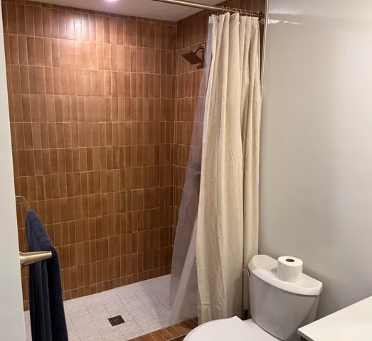 a bathroom with a shower and a toilet