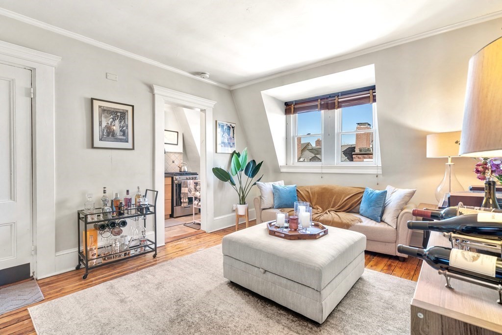 24 Harvard Street, Unit 4 Boston, MA 02129 - Photo 4 of 17 a living room with furniture and a potted plant